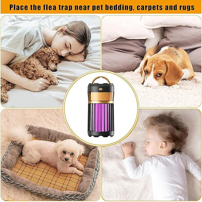 Electric Mosquito Killer Lamp